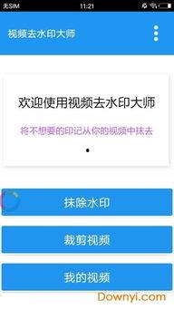 视频去水印大师下载,还原高清画质,视频去水印大师下载体验